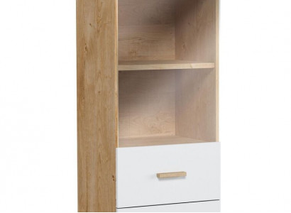 Bookshelf, display cabinet, display cupboard, glass cabinet, shelf, wood, cabinet, bookcase